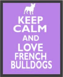 French Bulldog Puppies - French Bulldog Breeders - AKC Champion French ...